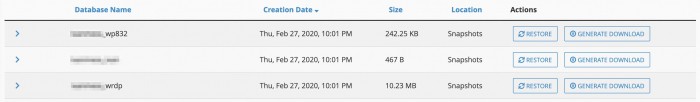 Snapshot Restore Database