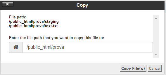 Copy Files Path