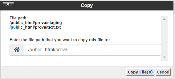 Copy Files Path