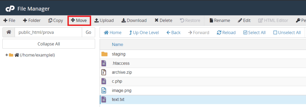 File Manager Move File