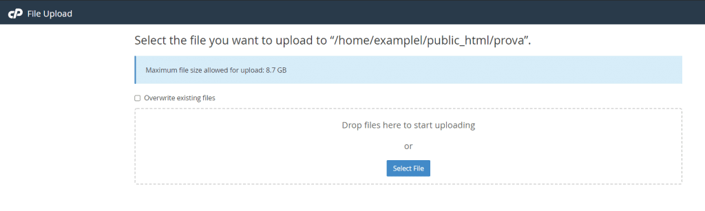 File Upload File Manager