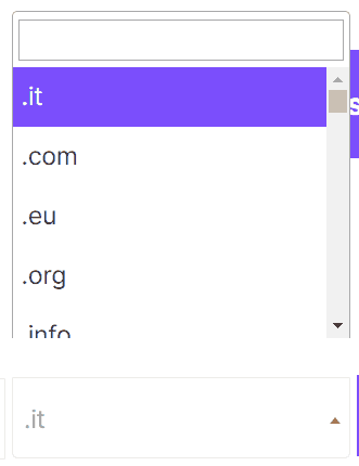 Choose Domain Extension