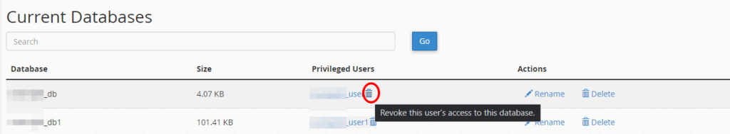 Revoke Users Access Database