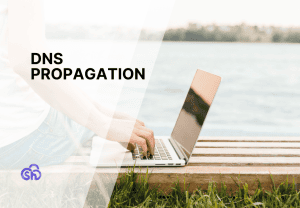 DNS propagation: the definitive guide
