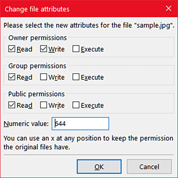 Fix White Screen Change File Permissions