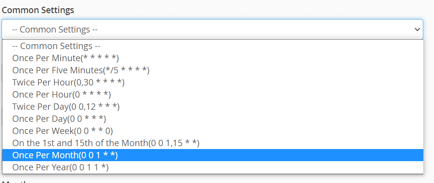 Cron Job Common Settings