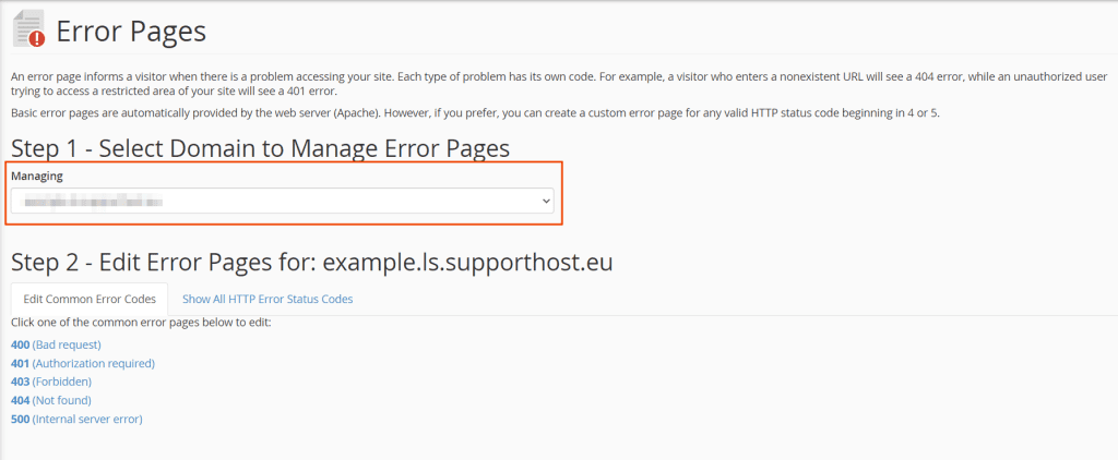 Error Pages Select Domain