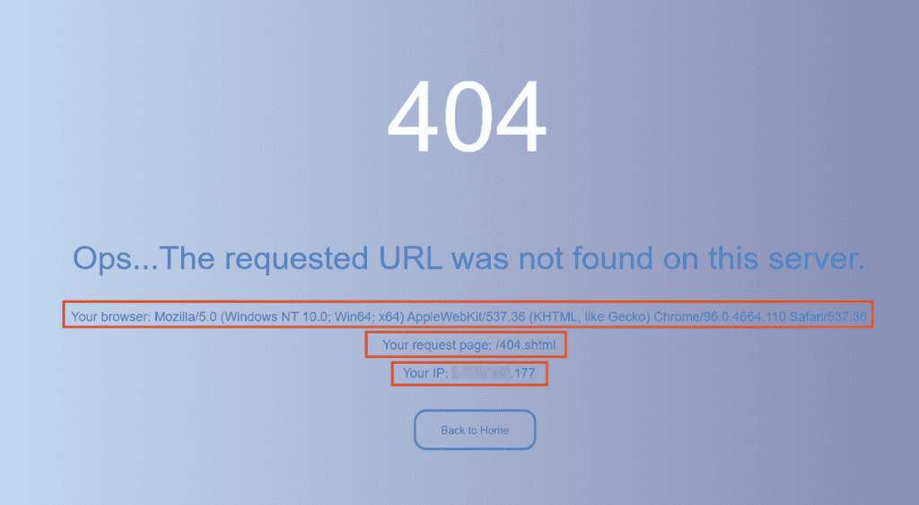 Example Custom Error Page