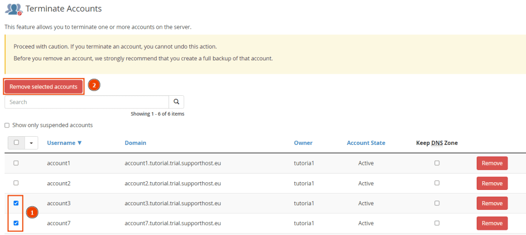Remove Selected Accounts