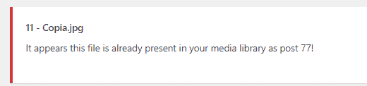 Wordpress Error Image File Is Already Present