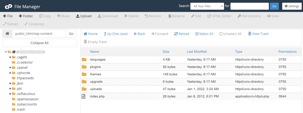 Cpanel File Manager Dashboard