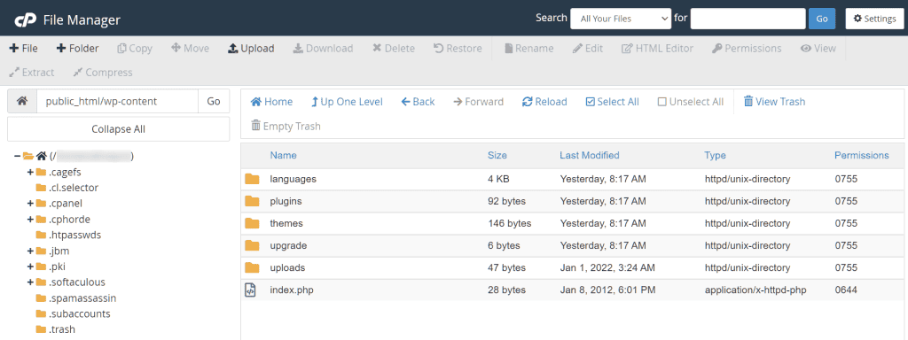 Cpanel File Manager Dashboard