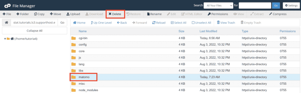 Delete Matomo Folder