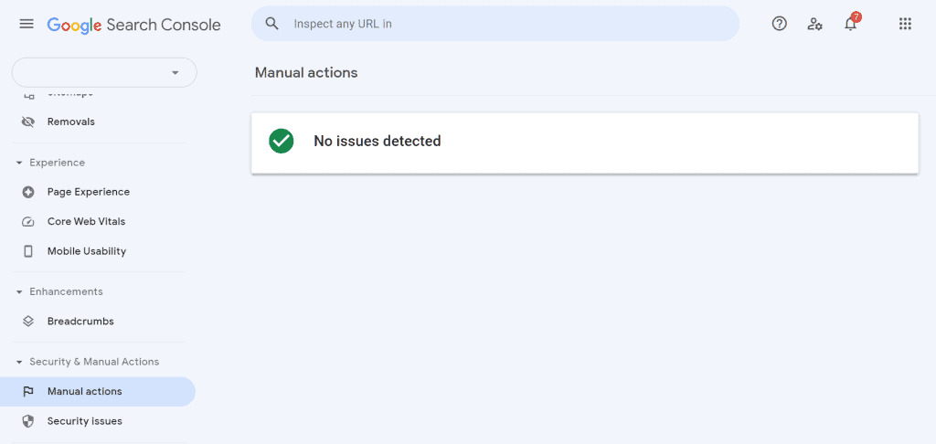 Google Search Console Manual Actions Issues