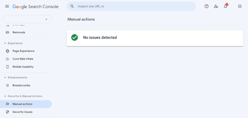 Google Search Console Manual Actions Issues