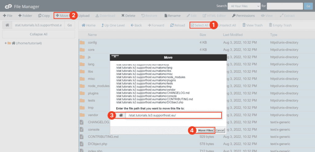 Move Matomo In Root Folder