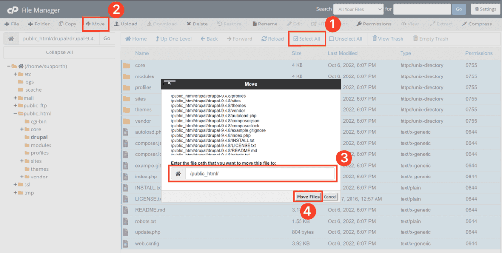 Move Drupal Files With File Manager