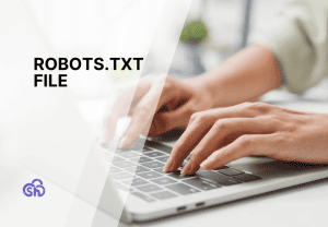 Robots.txt file: all you need to know