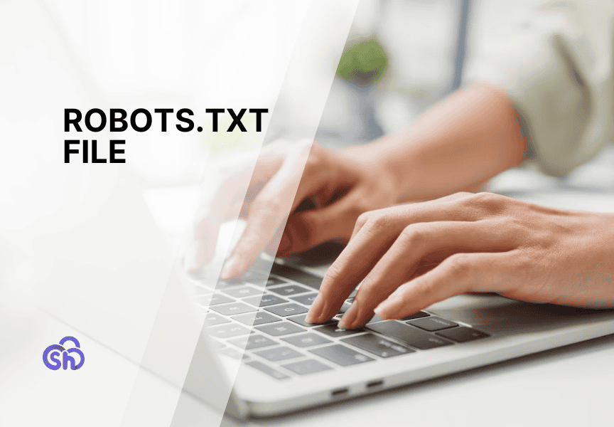 Robots.txt File