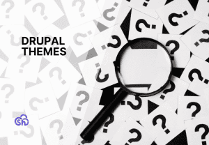 How to choose the best Drupal themes