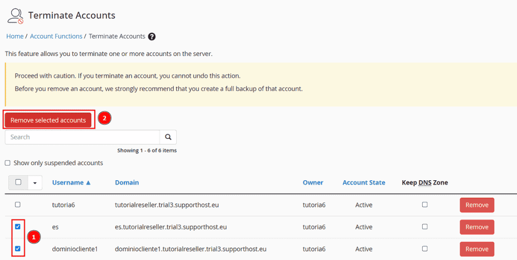 Remove Selected Accounts Cpanel Permanently