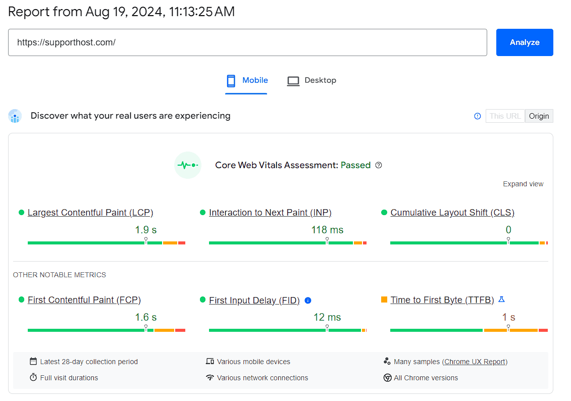 Pagespeed Insights Report