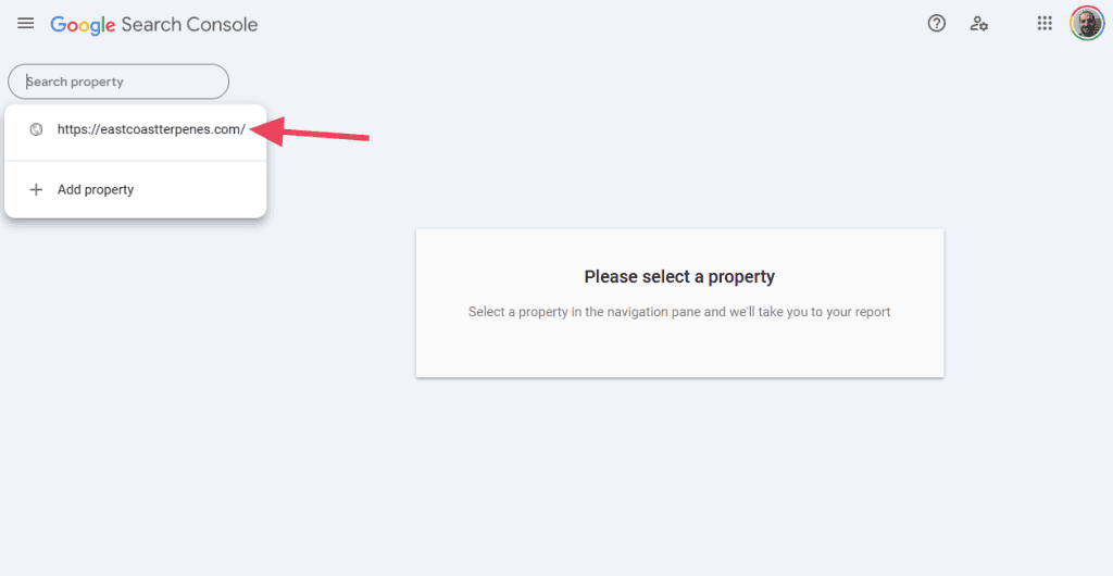 Google Search Console Select Domain
