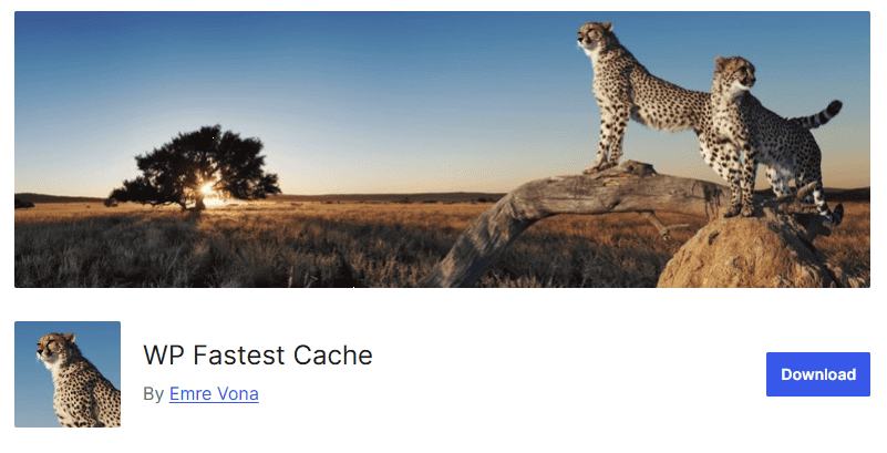 Wp Fastest Cache