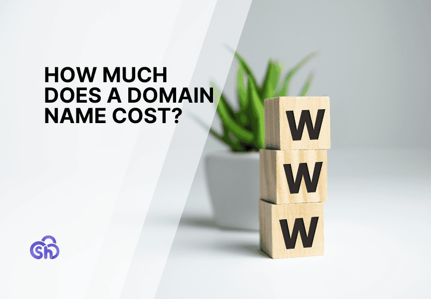 How Much Does A Domain Name Cost