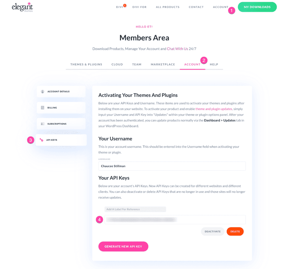 Divi Api Keys
