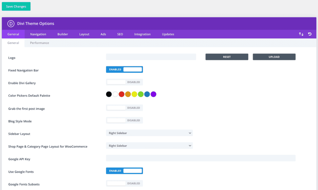 Divi Theme Options