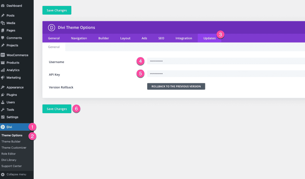 Enter Divi Api Keys