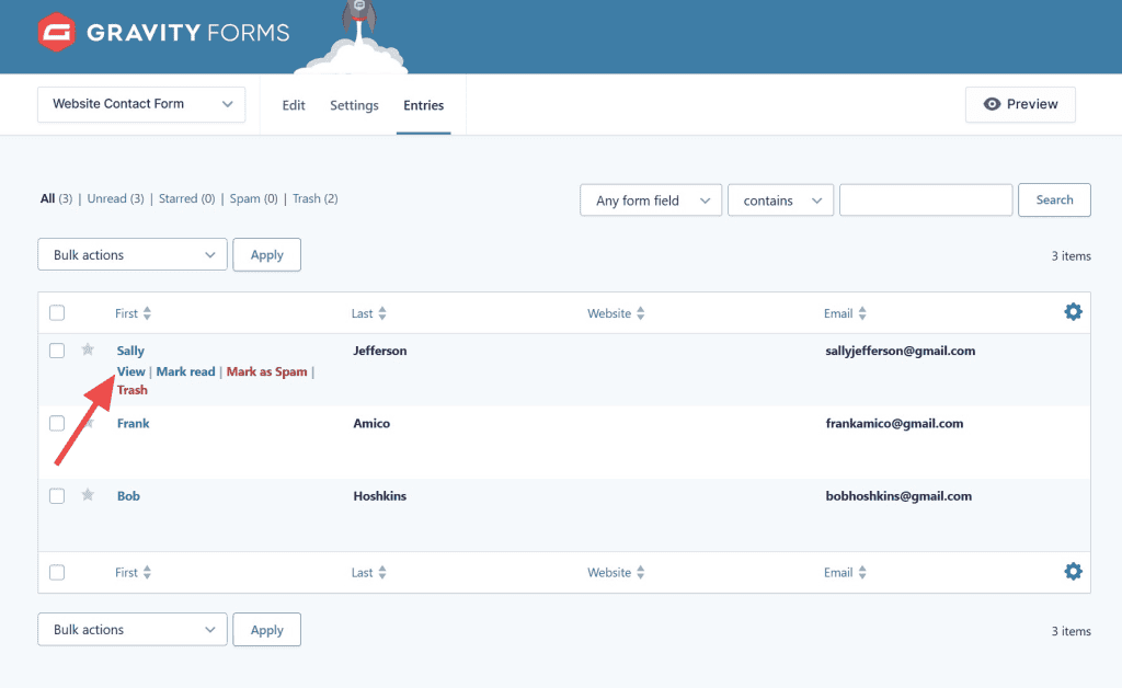View Gravity Forms Entries