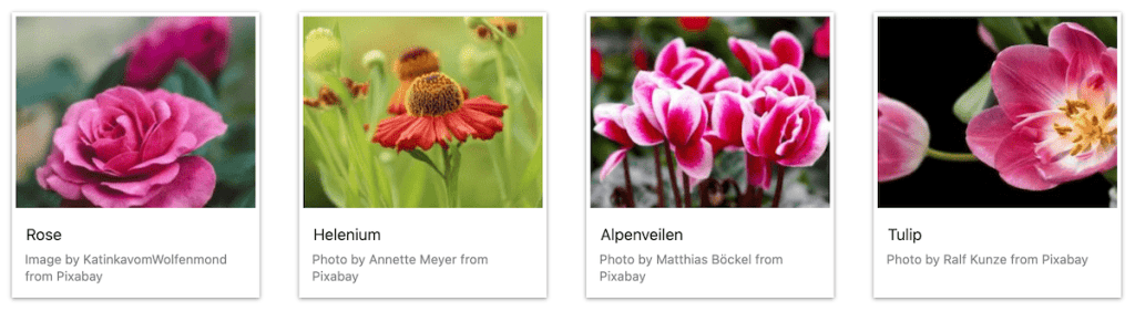 Wordpress Gallery Plugin Foogallery Example