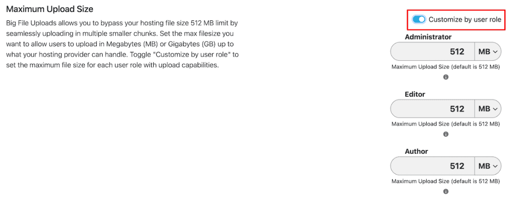 Increase Maximum Upload File Size In WordPress Big File Uploads Plugin User Roles