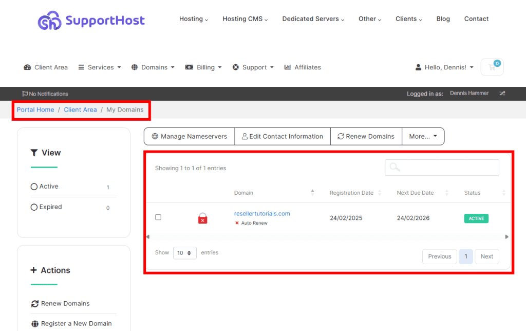 Check Domain Status