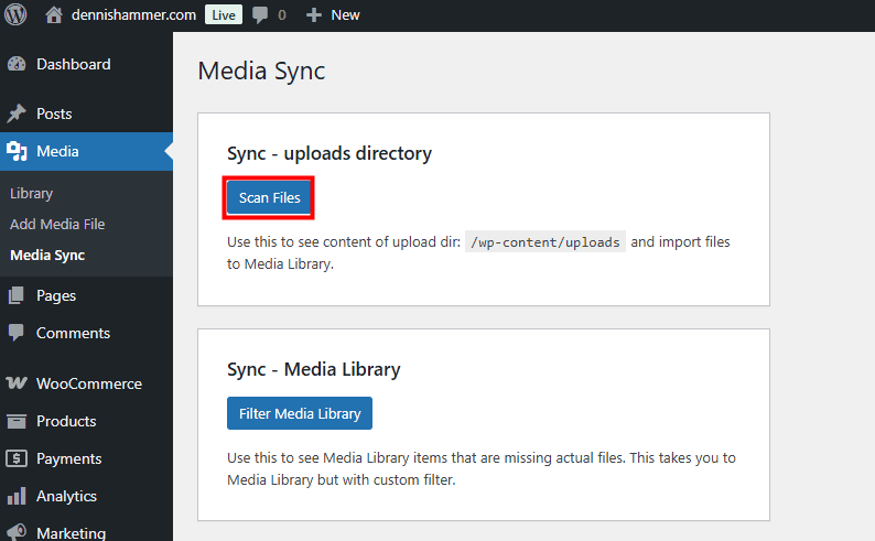 Scan Files To Media Sync