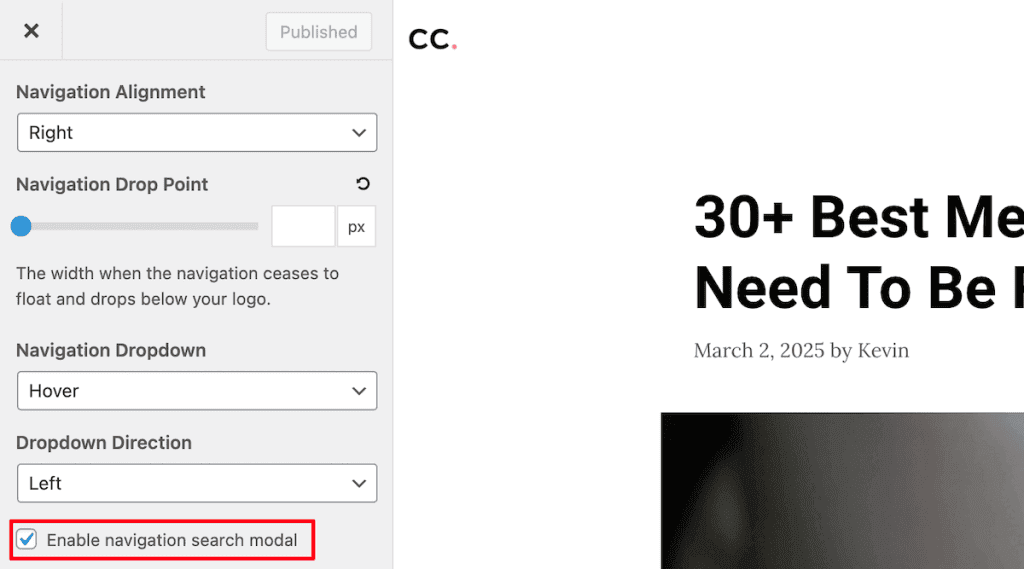 Wordpress Search Enable Search Module