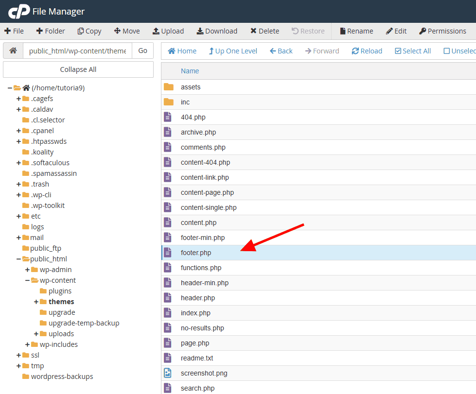 Footer File In Cpanel