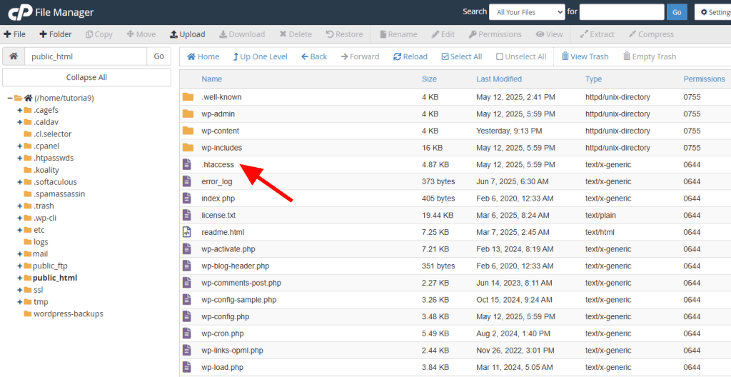 Htaccess File In Cpanel