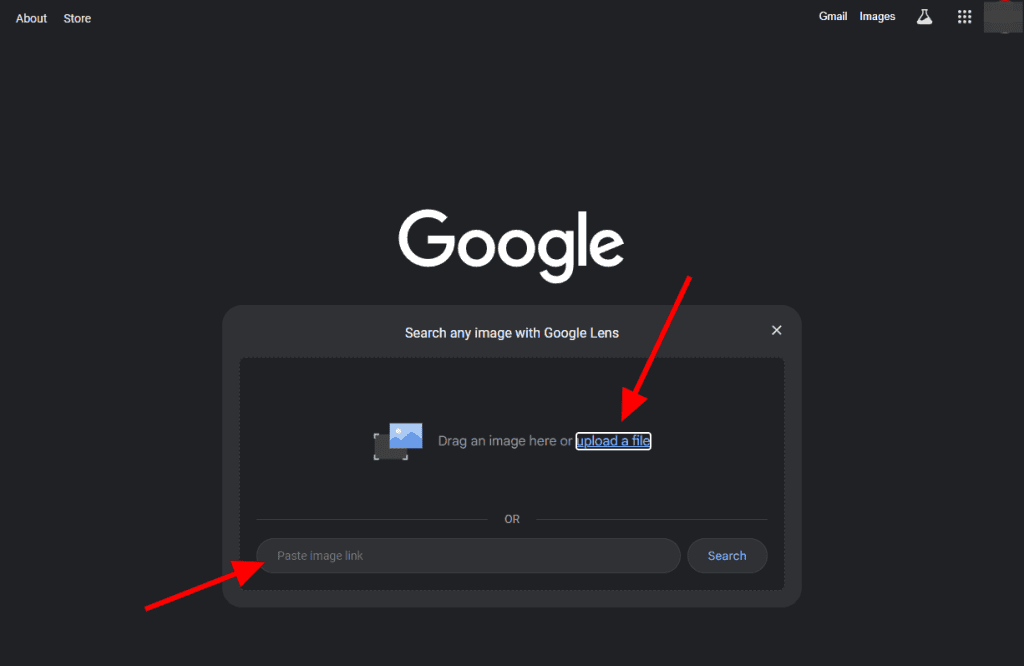 Google Reverse Image Search