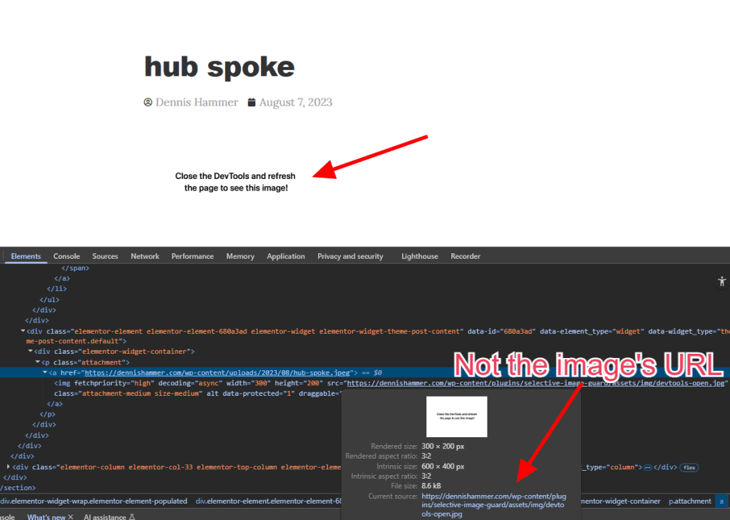 Selective Image Guard Hidden Image