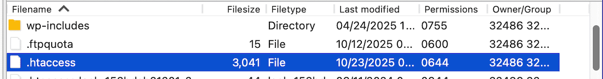 What is the .htaccess File in WordPress? (And How to Use It)