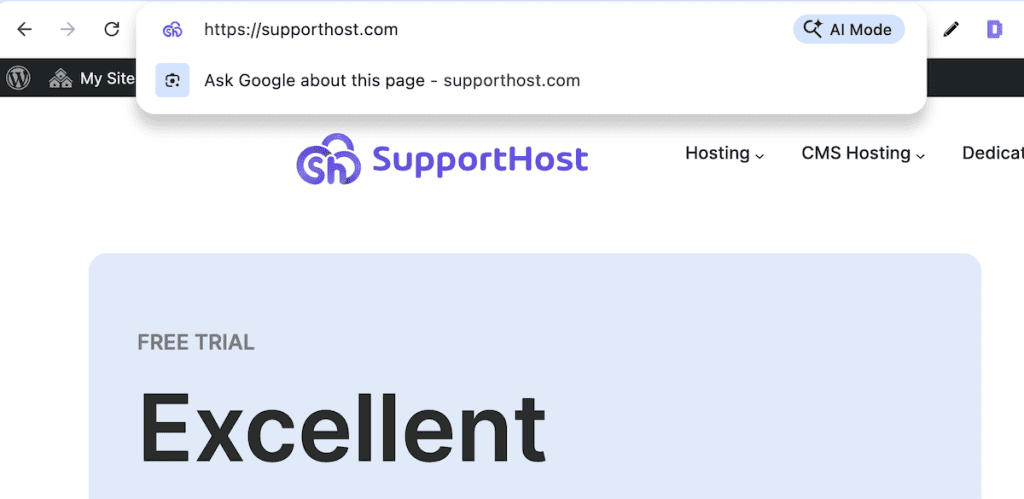 Domain Vs Hosting Domain Name