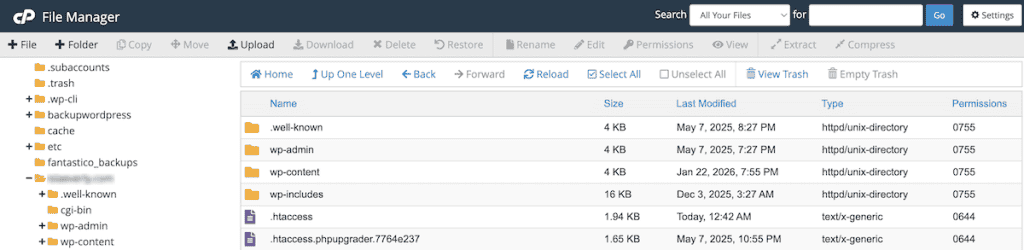 Cpanel File Manager