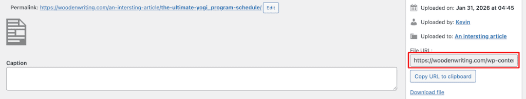 Insert Pdfs Into WordPress Copy Pdf Url