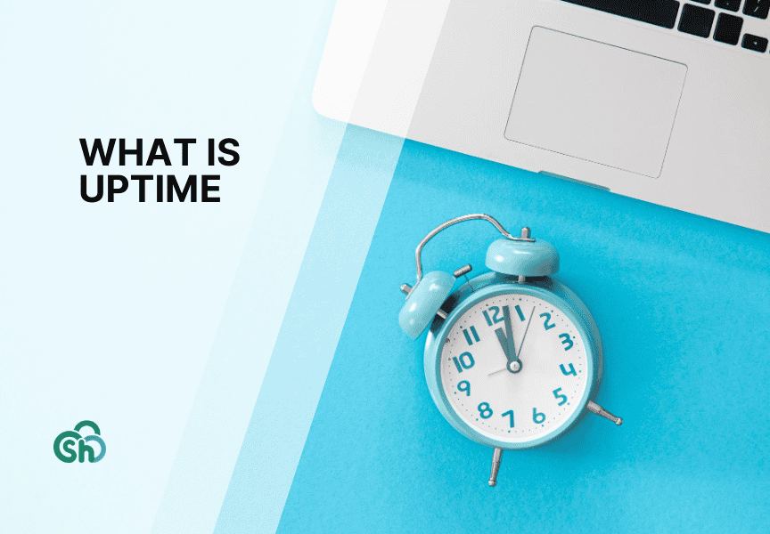 What Is Uptime and How to Monitor Website Uptime Easily