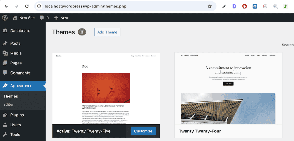 Xampp Add WordPress Theme
