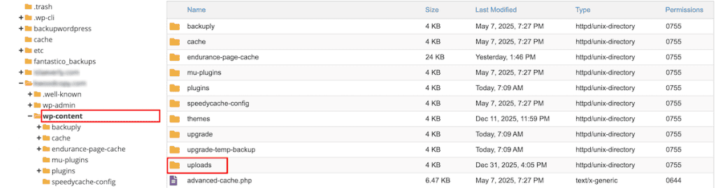 You Are Not Allowed To Upload This File Type Ftp Uploads Folder