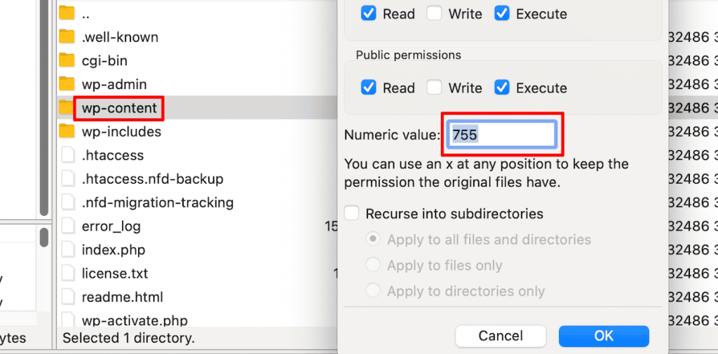 Wordpress Updating Failed Folder File Permissions